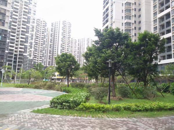 【多图】西湾和苑,西村租房,实景房源 西湾和苑67方两房急租 价格便宜