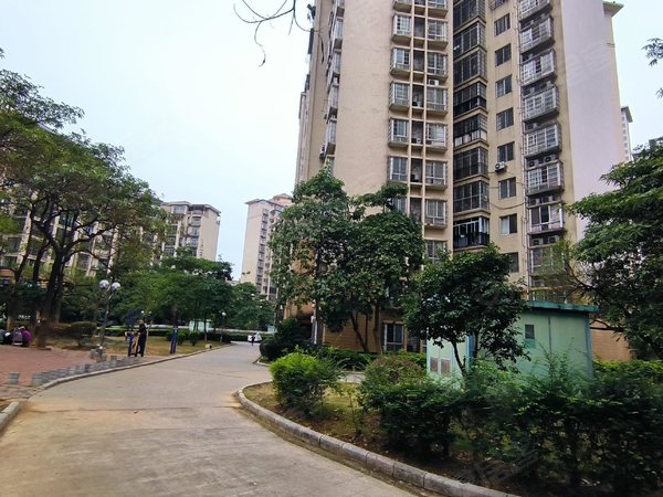 柳州柳南潭西金河湾柳南 智美小学 富丽嘉园旁 金河湾  电梯精装3房