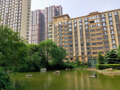 棕榈湾优点,不足,棕榈湾怎么样,棕榈湾周边房产中介经纪人评价-石家庄