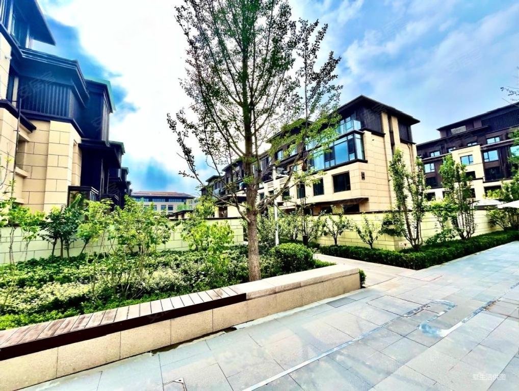 京能丽墅3室2厅3卫163㎡南北449万