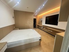 乌鲁木齐开发区开发区二期宝能城公寓翠竹园万达公寓精装公寓中间层采光好出租房源真实图片