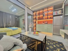 台州温岭温岭市区近地铁 超漂亮一室一厅 可押一付一拎包入住出租房源真实图片