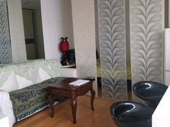 上海静安西藏北路中心铂庭 1室1厅1卫出租房源真实图片