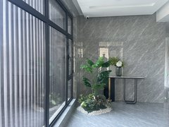 定西安定安定城区急租新城精装未入住3室,采光好家具齐全拎包入住出租房源真实图片