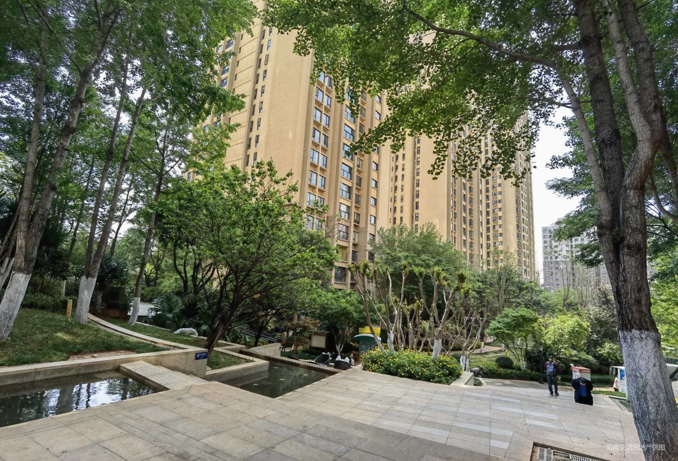 龙湖水晶郦城教场北路151号3室1厅2卫11499平方米