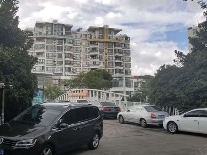 南国花园 七莘路3198弄1 40号 上海南国花园二手房 租房 上海安居客