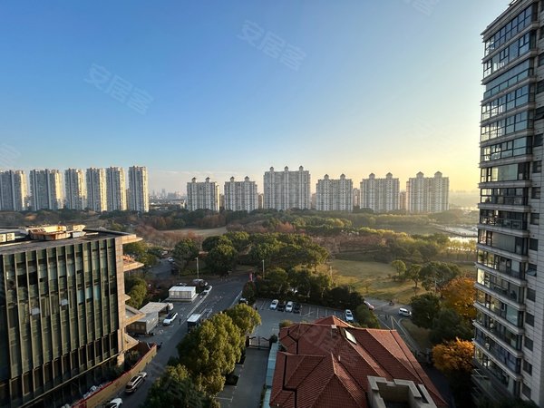 上海松江松江新城东鼎名人府邸松江汤臣一品 豪华装修 万科物业 管家