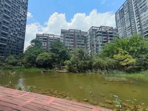 昆明盘龙火车北站星雅俊园同德广场地铁口 星雅俊园精装2房2厅 拎包