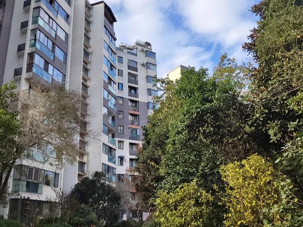 贵阳花溪花溪公园溪山御景羊场坝附近溪山御景小区,单间出租,无中介