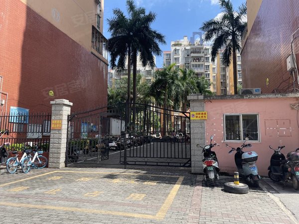 棕榈湾小区,低楼层精装一房一厅,配齐出租,随时看,西乡塘租房-南宁58