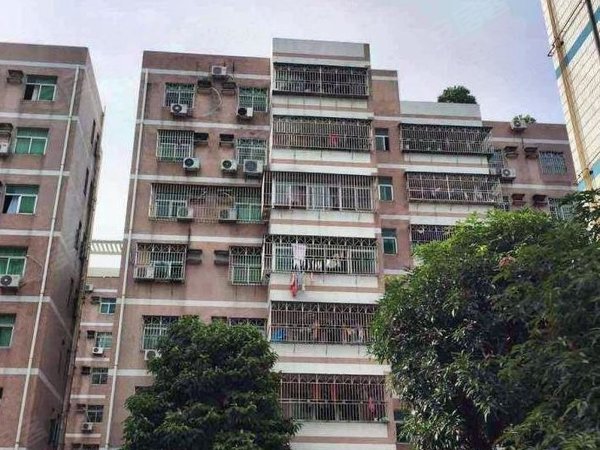 【多图】丽新花园,西丽租房,西丽地铁口50米 丽新花园2室低价出租