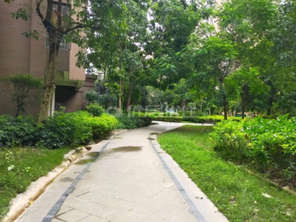 南宁西乡塘北湖隆源雅居大唐天城旁 隆源雅居 大3房 家电家具齐全