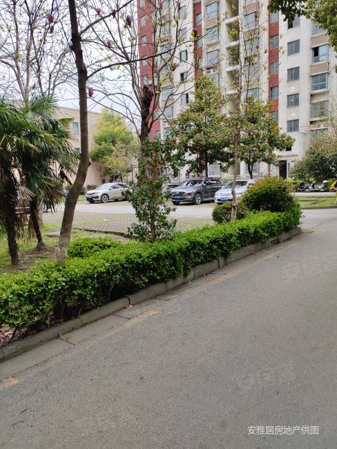 8万,阳光新城(东区)二手房,71.8万,2室2厅,2卫,51.75平米-昆山安居客