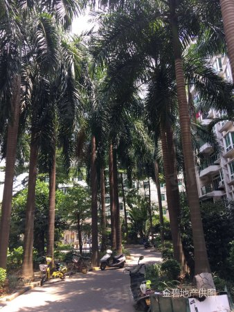 横沥瑞康花园2房 红本在手 入户少税 送家私电 急售来电看房