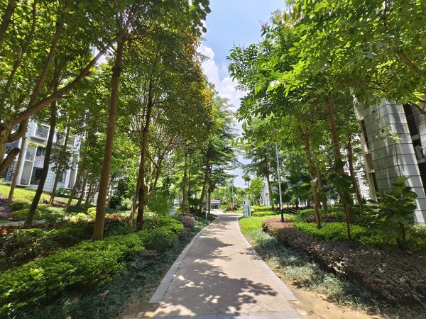 南宁兴宁东沟岭金源橘子郡金源城吾悦广场 地铁口物业 金源橘子郡