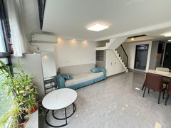 合肥新站陶冲湖湖景房梦中情房loft复式新站广场近京东方维信诺168朝南出租房源真实图片