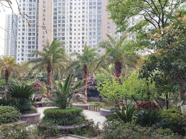 苏州沧浪沧浪新城世家苑可短租月付中医医院常润大厦西环路 世茂广场