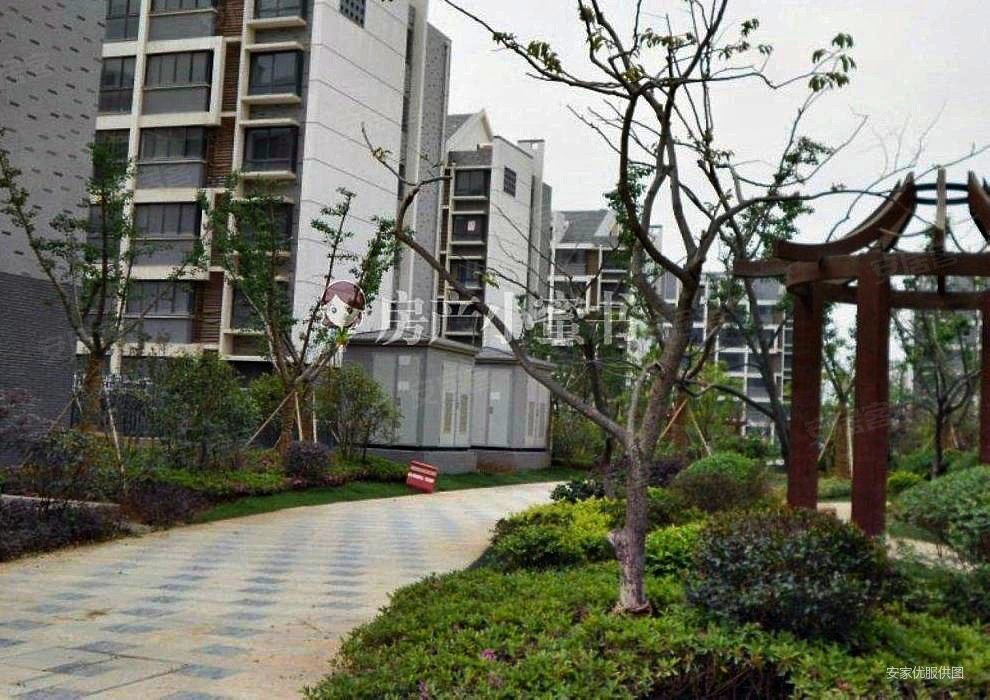 南大和园427万元超低价格快出手