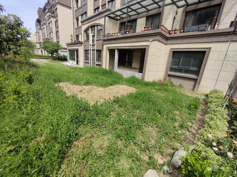 维维紫悦台 洋房两层带大院子 南北通透 四叶草户型