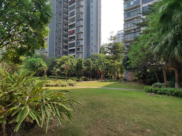 南宁青秀柳沙半岛半山半岛半山高层江景房 配齐招租 百米楼间距 看房