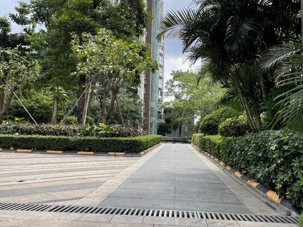 【多图】龙华花半里,清湖租房,花半里三房两卫,南向安静,楼层佳,采光
