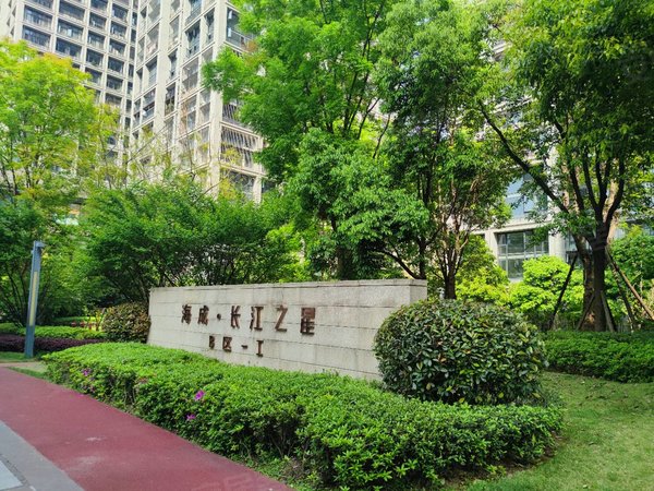 重庆万州江南新区海成长江之星b区办公室出租,长江之星商业街中心