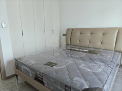 温州平阳鳌江全新装修 出租 万达电梯房 拎包入住出租房源真实图片