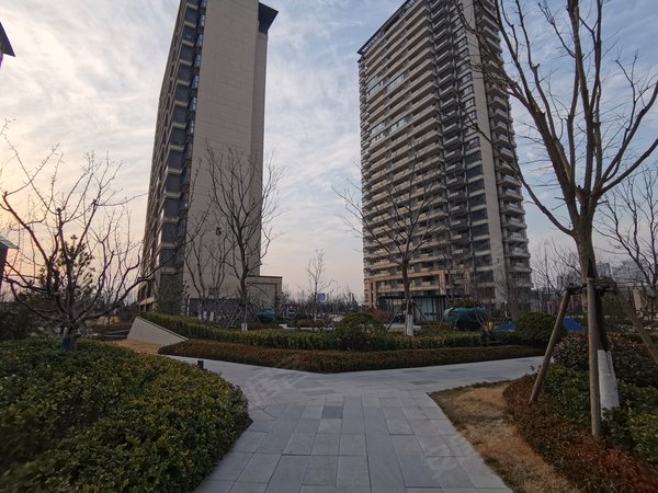 青岛李沧唐山路越秀天悦海湾(北区)初次出租 火车北站 越秀天悦海湾套