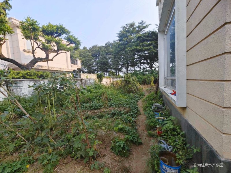 东逸湾占地2亩大独栋花园大赠送多安静