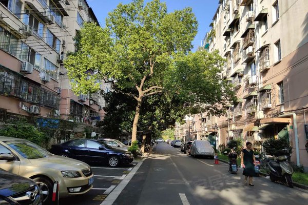 新梅花苑(东区),报春路388弄-上海新梅花苑(东区)二手房,租房-上海