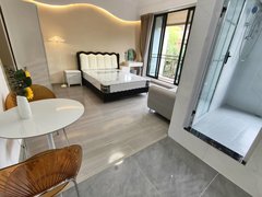 合肥高新柏堰湖北雁湖地铁口 英唐产业园 科大讯飞 北雁湖金茂湾 科大硅谷出租房源真实图片