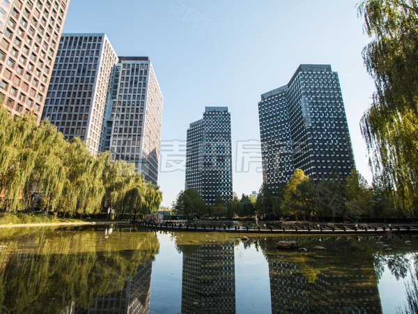 东直门租房,万国城moma 1室1厅1卫 110平 电梯房,东城租房-北京58安居