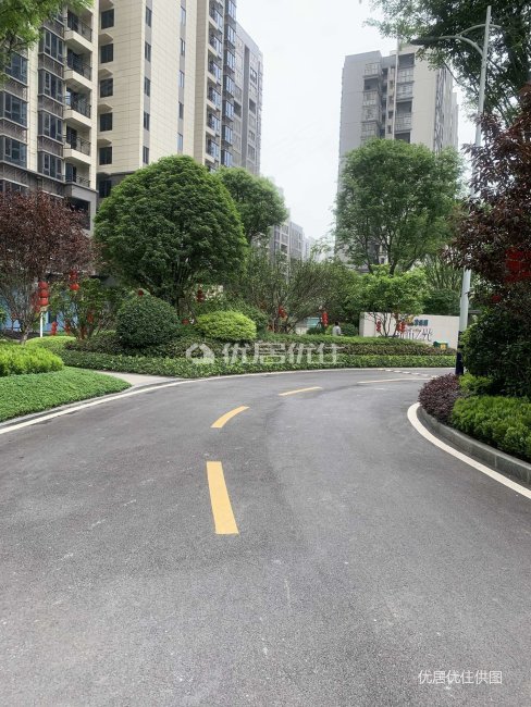 碧桂园城市之光