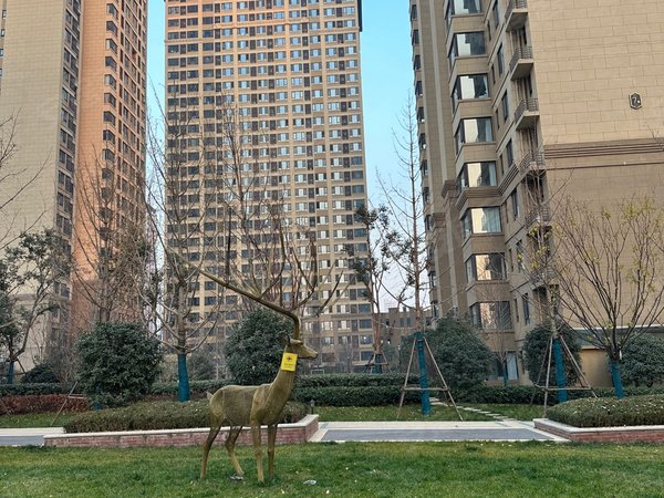 西安长安郭杜雅居乐花园郭杜大学城樱花广场雅居乐花园两室两厅房子