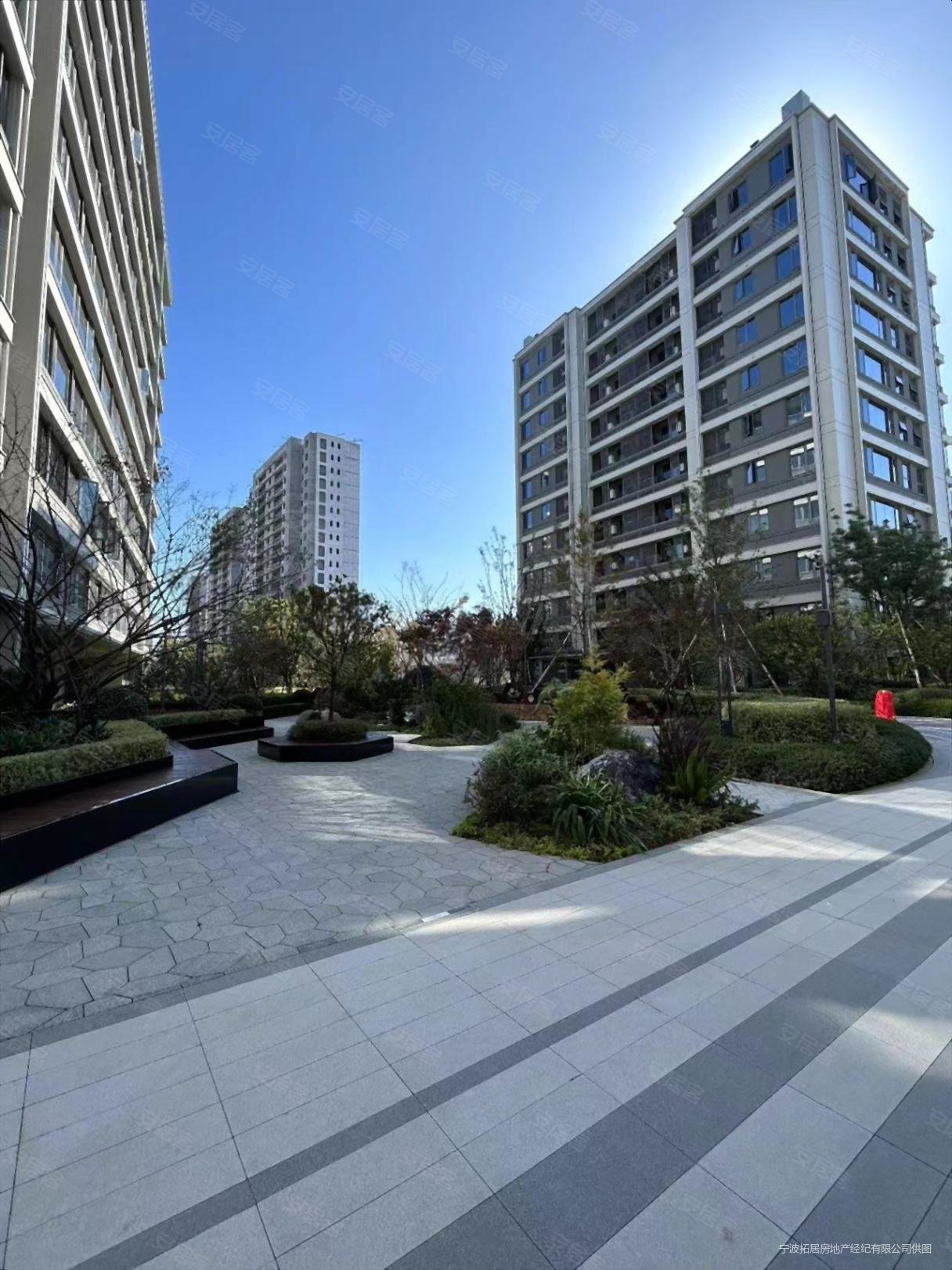 全新豪华装修好楼层绿城春来晓园17层直接入