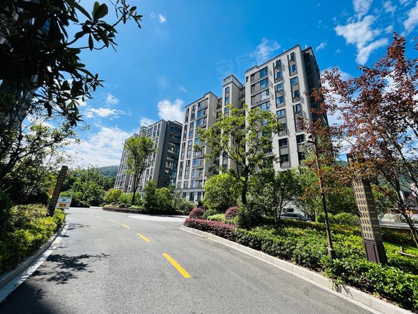 【多图】美和院(公寓住宅),银湖租房,地铁口住宅美和院3房2卫 自住