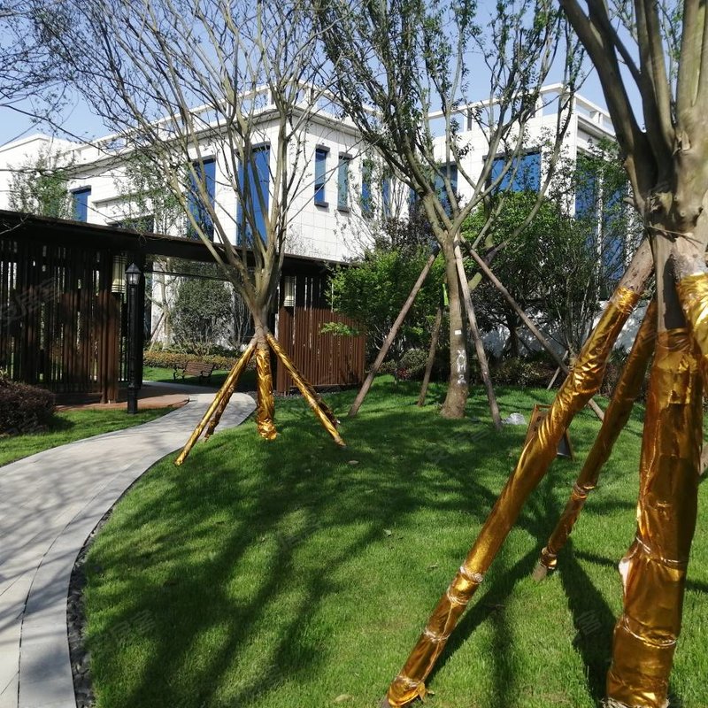 【信智城(营山), 信智城(营山)小区详情,房价走势,房源,业主论坛】