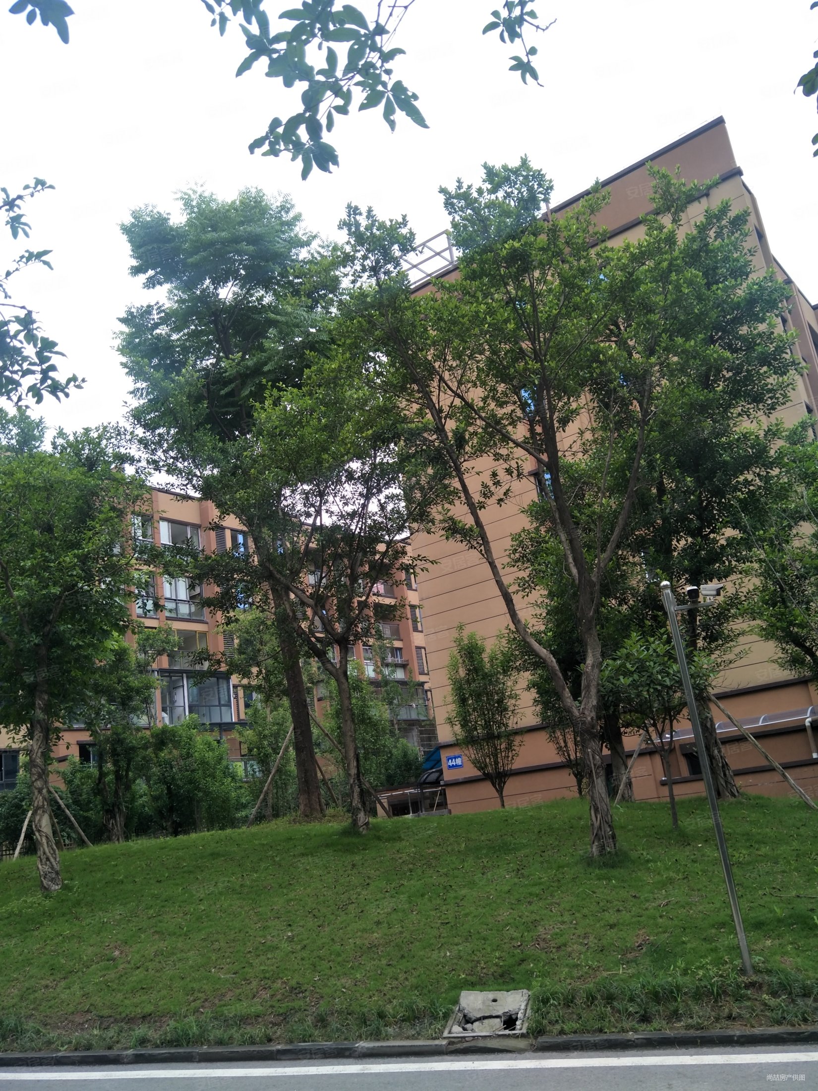 全巴南 霸道花园洋房 100平米花园带私人ktv实得300平,曦圆柳镇(三期)