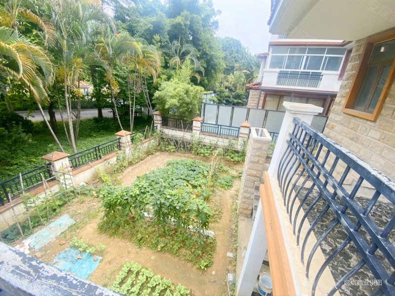 大面积大享受碧水天源710平方独栋别墅,花园面积大,有地下室