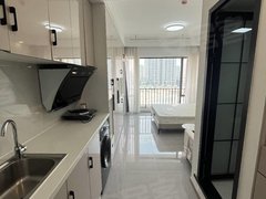 柳州鱼峰柳东新区柳东新区 会展中心 工学院附近 精装单间配套齐全 拎包入住出租房源真实图片