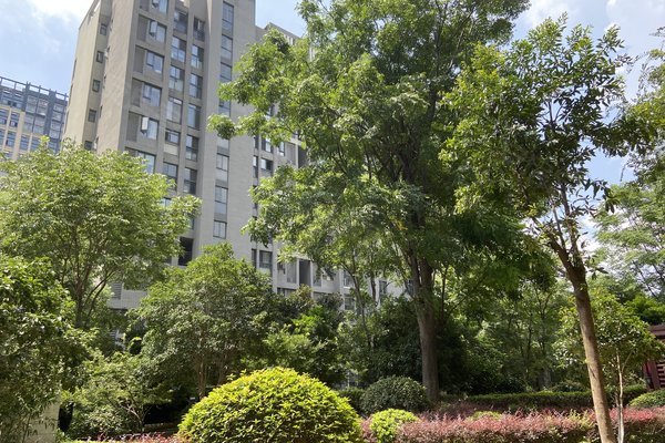 保利圆梦城三区