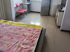 大庆高新区机关五小盛景九号1室一厅一卫，拎包入住出租房源真实图片