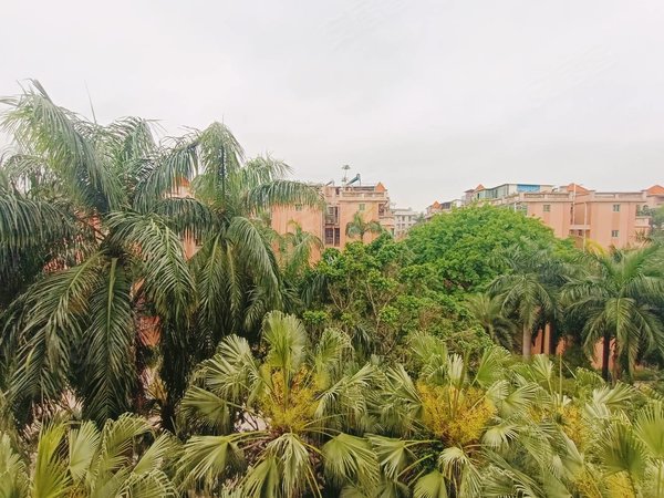 广州番禺大石富庭华园富庭华园3房两厅精装修,南北对流,拎包入住出租