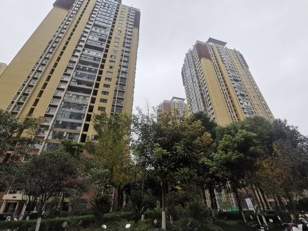 昆明西山滇池路片区金坤尚城长乐里低价租 书林一小隔壁 精装 阳光房