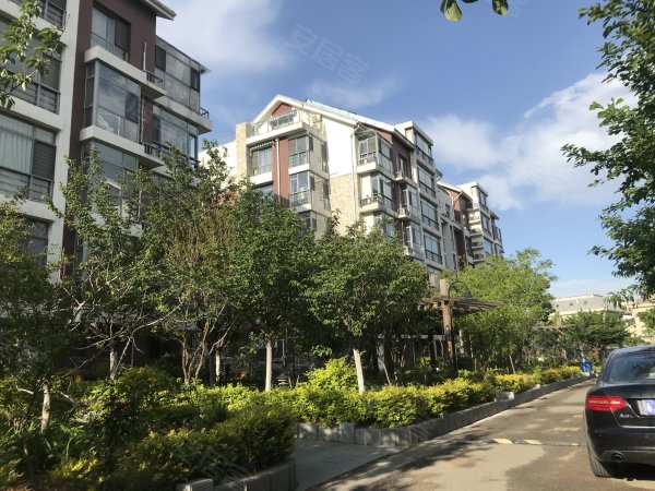 圣源美郡优点,不足,泰安圣源美郡怎么样,圣源美郡周边房产中介经纪人