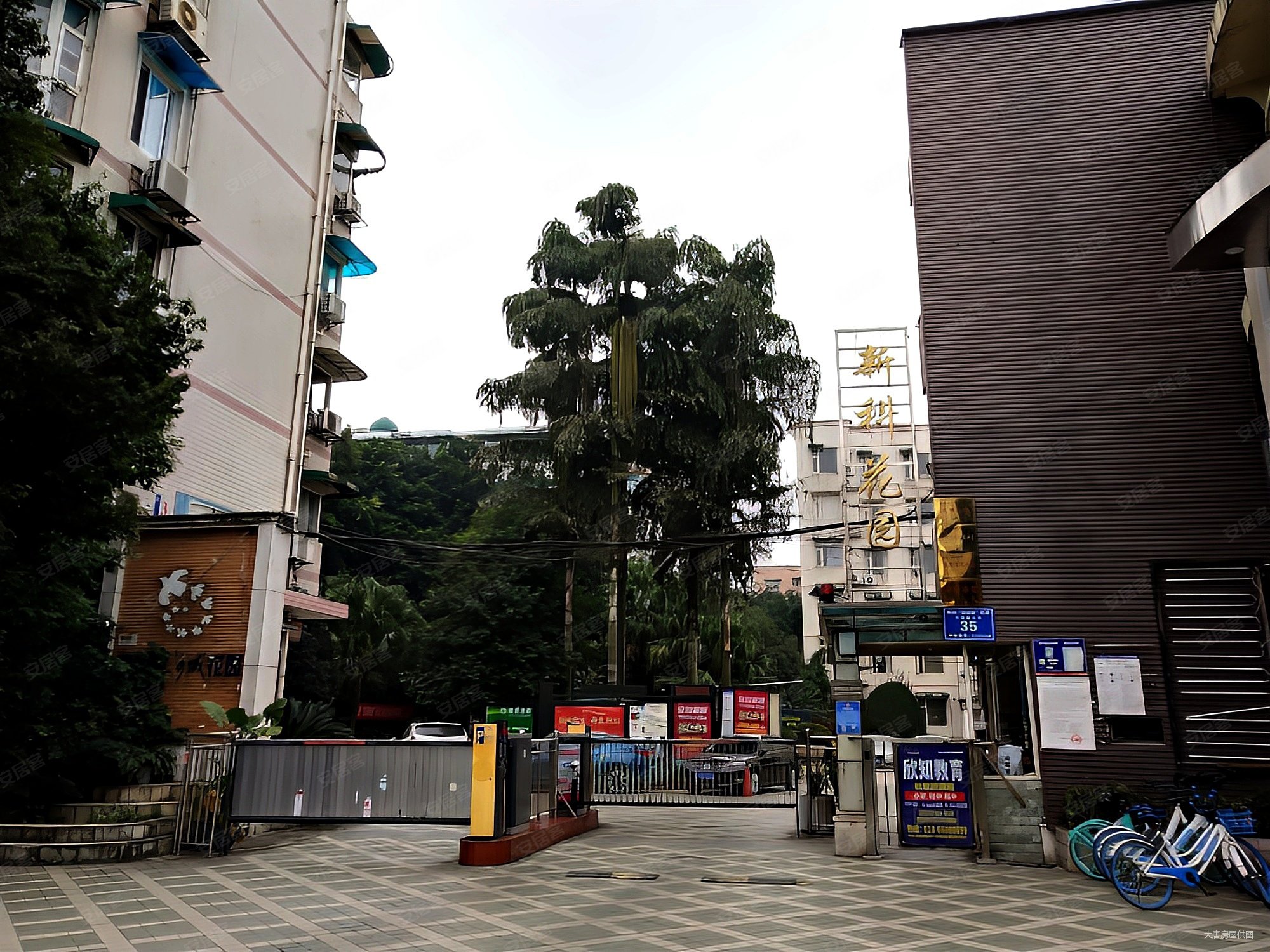 新科花园精装套三双卫95万近棠小