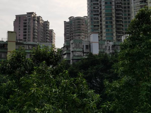 【多图】穗东花园,天河公园租房,天河公园 邻地铁2房1厅 家私齐 整洁