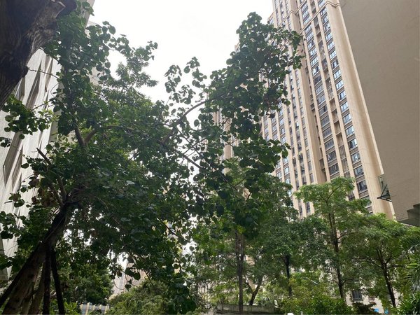 泉州洛江万安街道阳光国际广场洛江 阳光国际两房出租 家具配齐拎包
