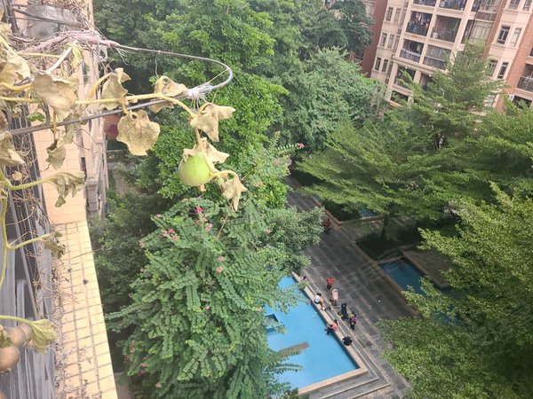 广州增城新塘海伦堡花园海伦堡空房,条件可谈.