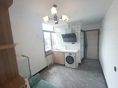 合肥经开莲花路公寓老板租 可短租 东南通透 押一月付 邻尚泽 莲花智谷正大出租房源真实图片